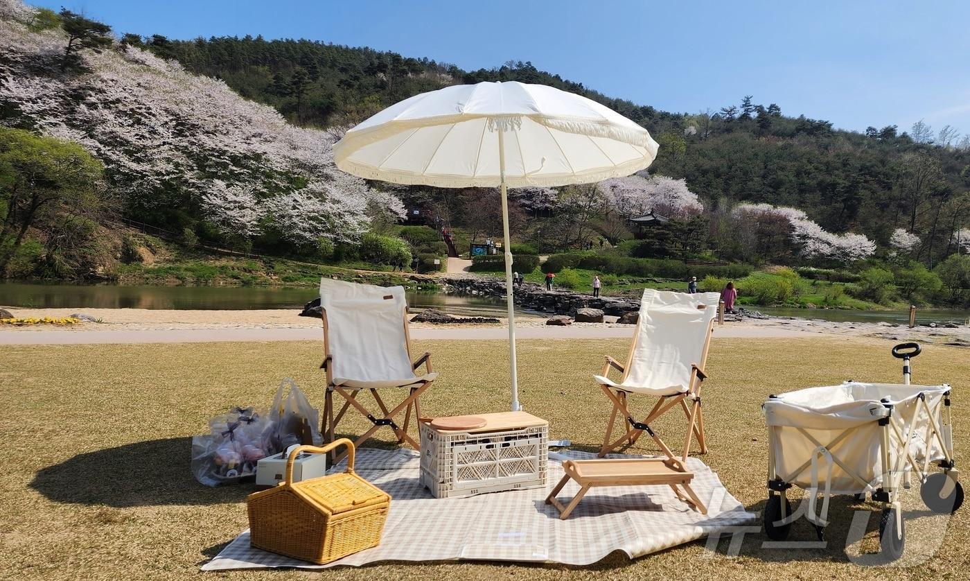 본문 이미지 - 충북 진천군이 농다리 관광객에게 무료로 대여하는 감성 피크닉 세트/뉴스1