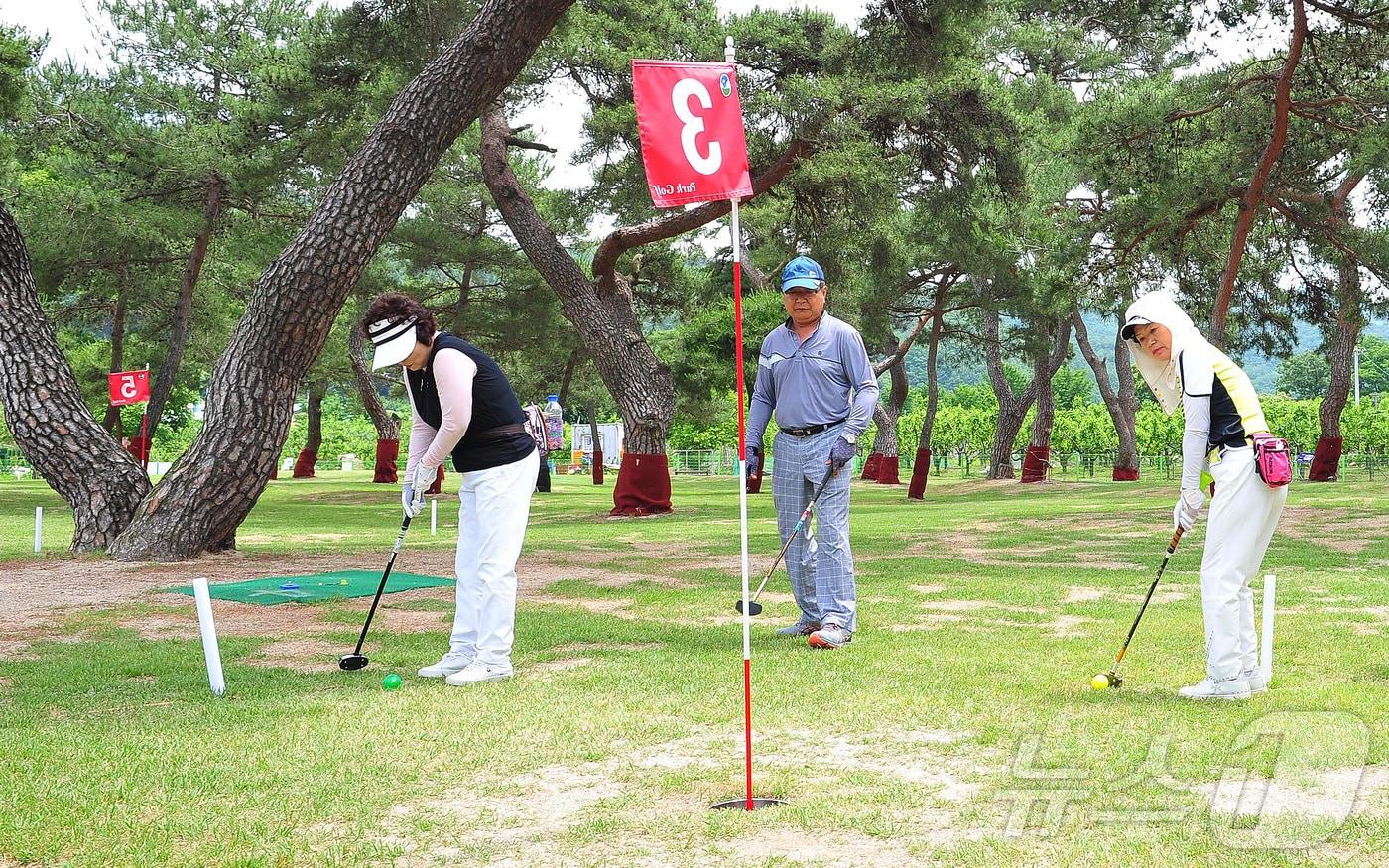 대구 군위군 삼국유사면 한 파크골프장에서 동호인들이 파크골프를 즐기는 모습. (군위군 제공)