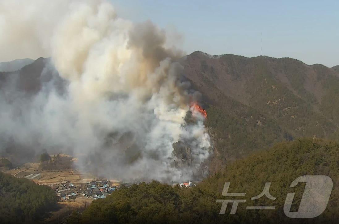 본문 이미지 - 4일 오전 10시 48분쯤 경북 청도 운문면 신원리 야산에서 불이 나 소방당국이 진화작업을 벌이고 있다. (경북소방본부 제공. 재판매 및 DB금지) 2025.3.14/뉴스1