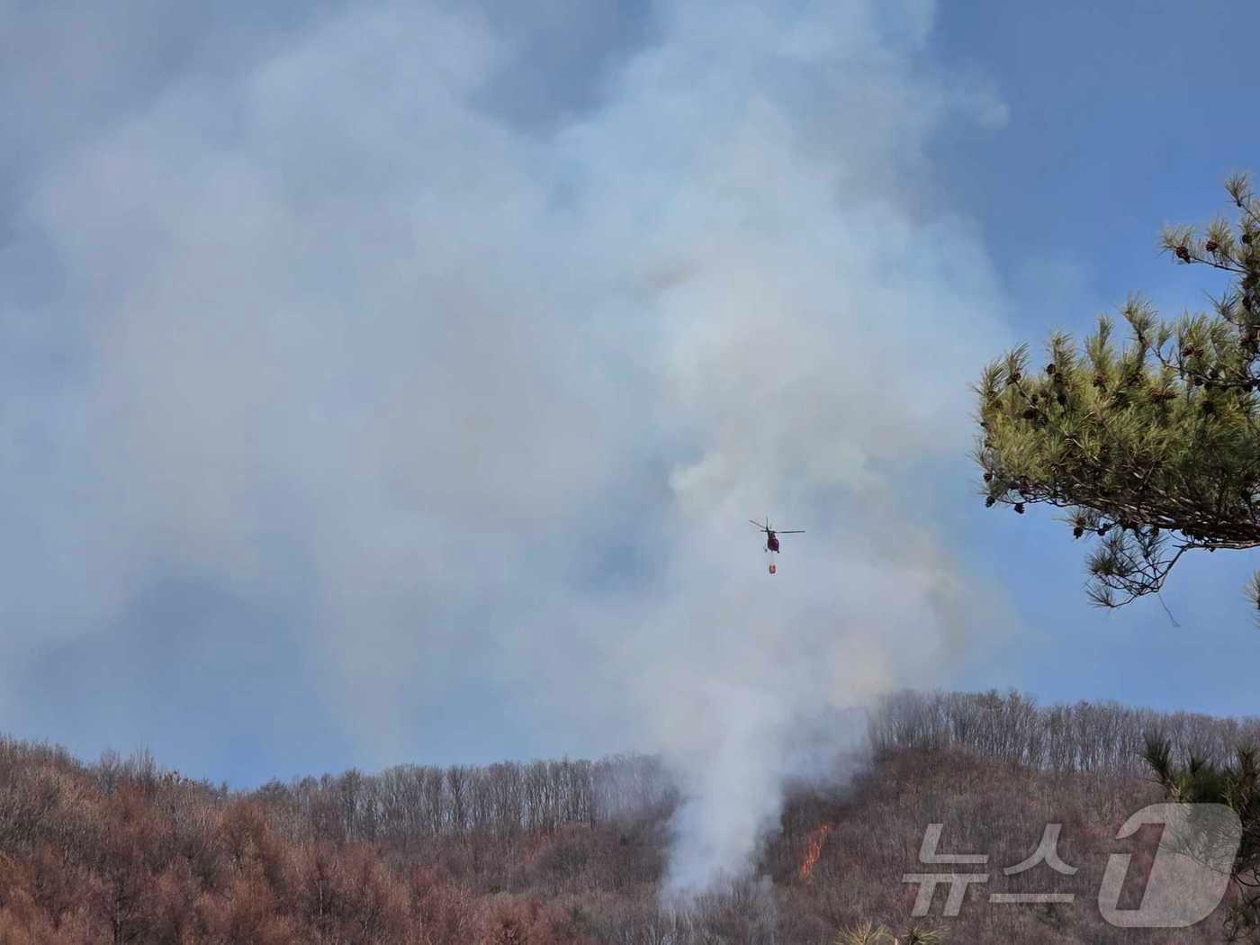 본문 이미지 - 강원 춘천 동면 지내리 산불 현장.(강원도소방본부 제공, 재판매 및 DB금지)