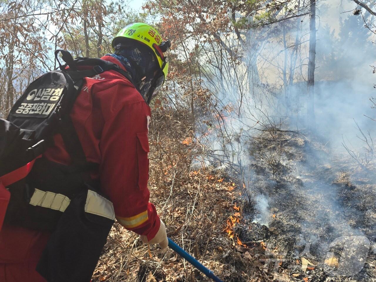 본문 이미지 - 14일 오전 10시48분쯤 경북 청도 운문면 신원리 방음산에서 산불이 발생해 진압 중이다.(산림청 제공. 재판매 및 DB 금지)2025.3.14/뉴스1