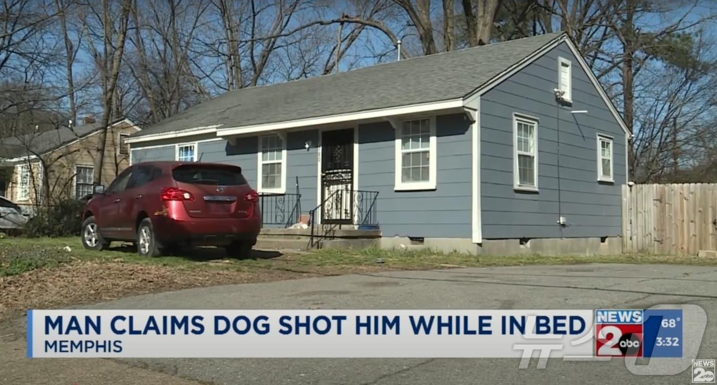 본문 이미지 - 총격이 발생한 미국 테네시주 멤피스의 주택. (유튜브 'WKRN News 2' 화면 갈무리)