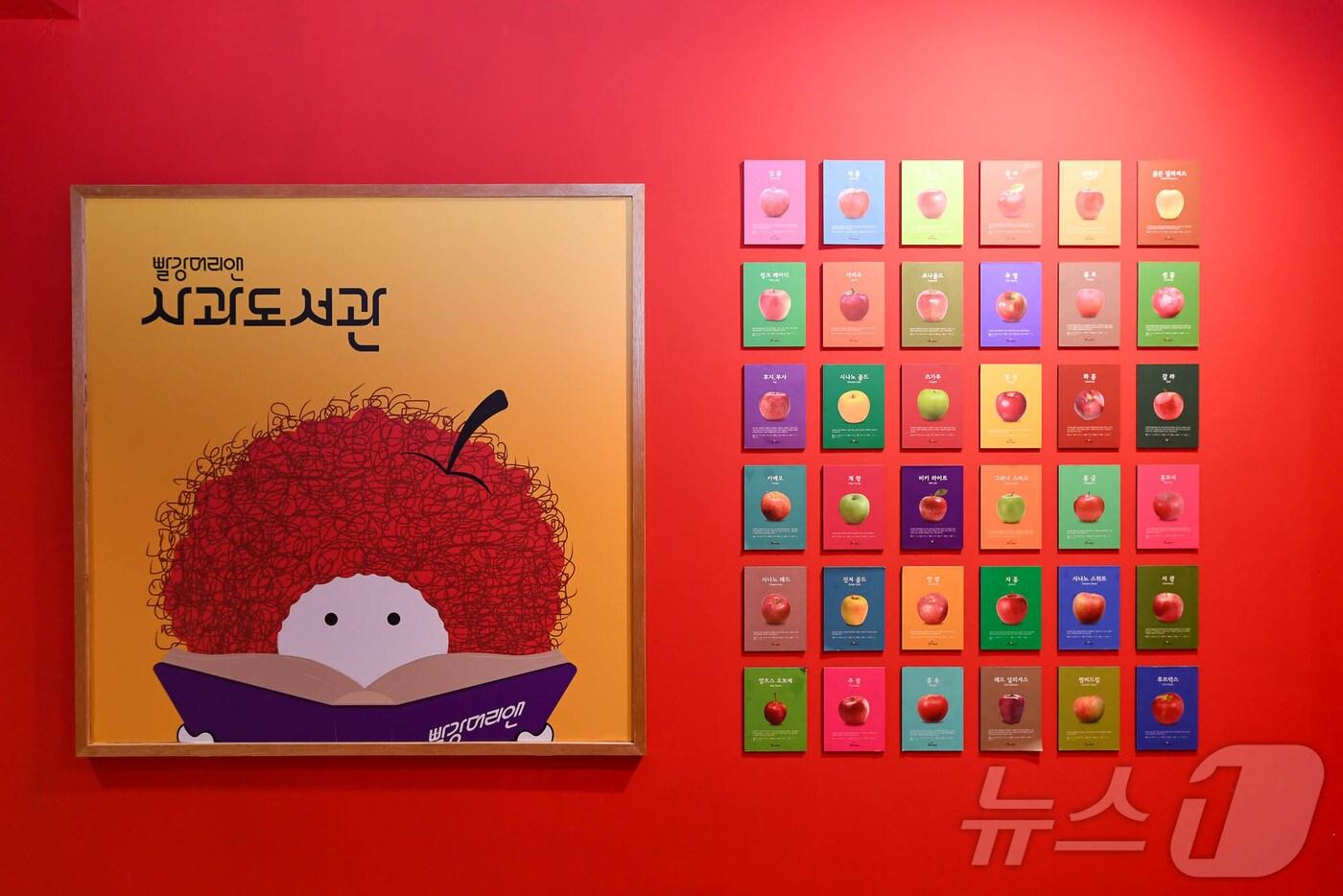 강원 양구 사과 홍보관.(양구군 제공, 재판매 및 DB금지)(