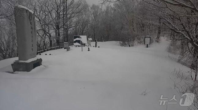 본문 이미지 - 강원 평창 오대산 두로령.(국립공원공단 CCTV 캡처, 재판매 및 DB금지)