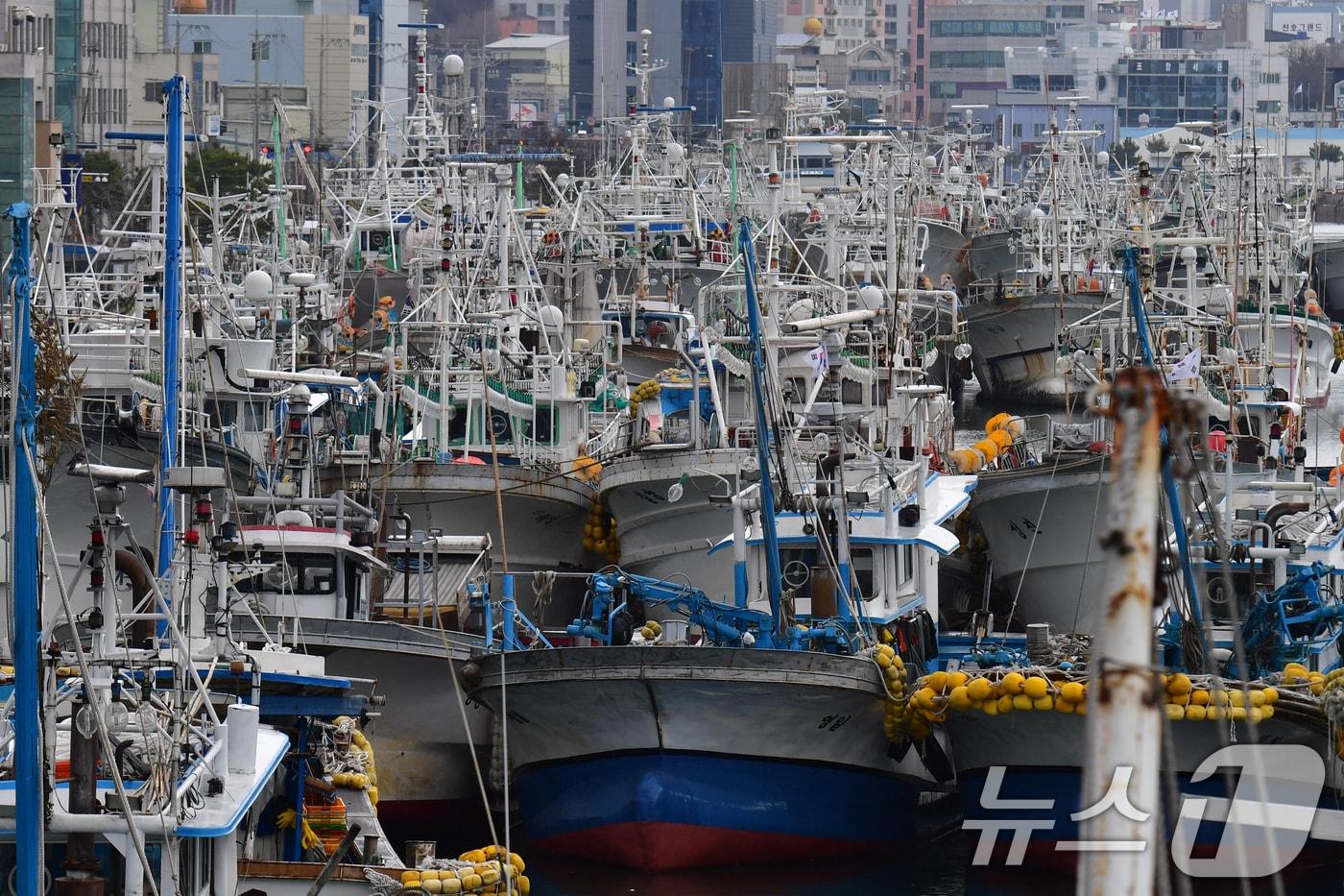 경북 포항시 동빈내항에 어선들이 정박돼 있다. ⓒ News1 최창호 기자