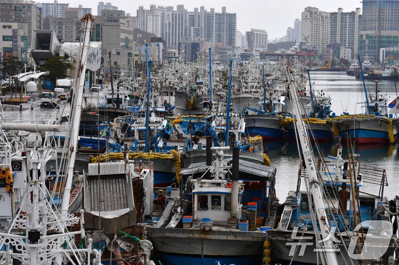 본문 이미지 - 경북 포항시 동빈내항에 정박돼 있는 어선들.(뉴스1 자료, 재판매 및 DB금지) ⓒ 뉴스1 최창호 기자