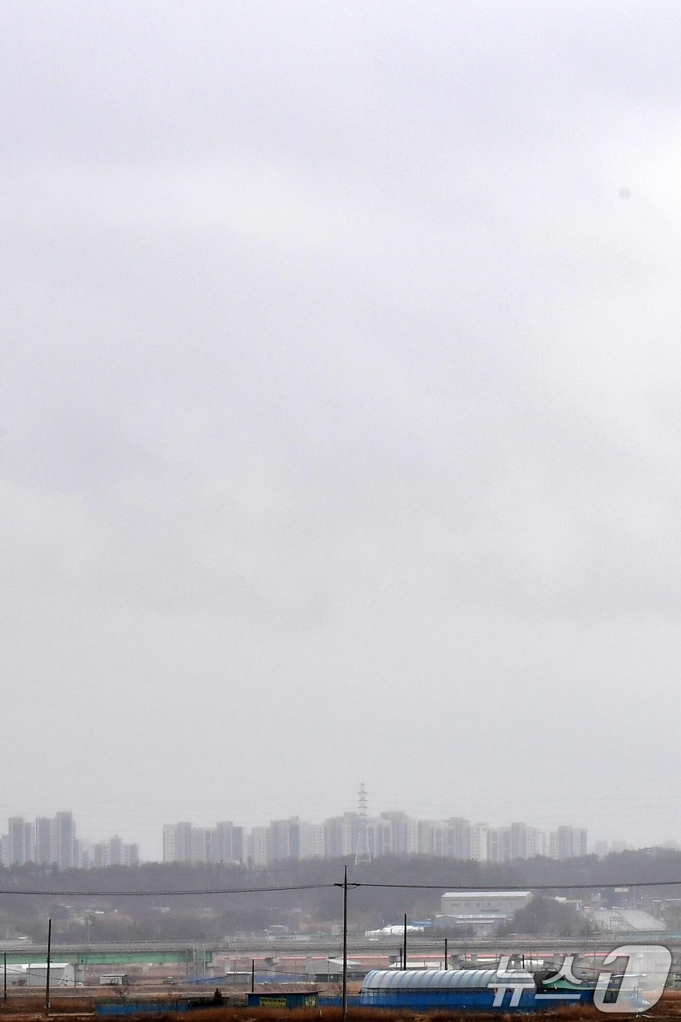 본문 이미지 - 자료사진/뉴스1