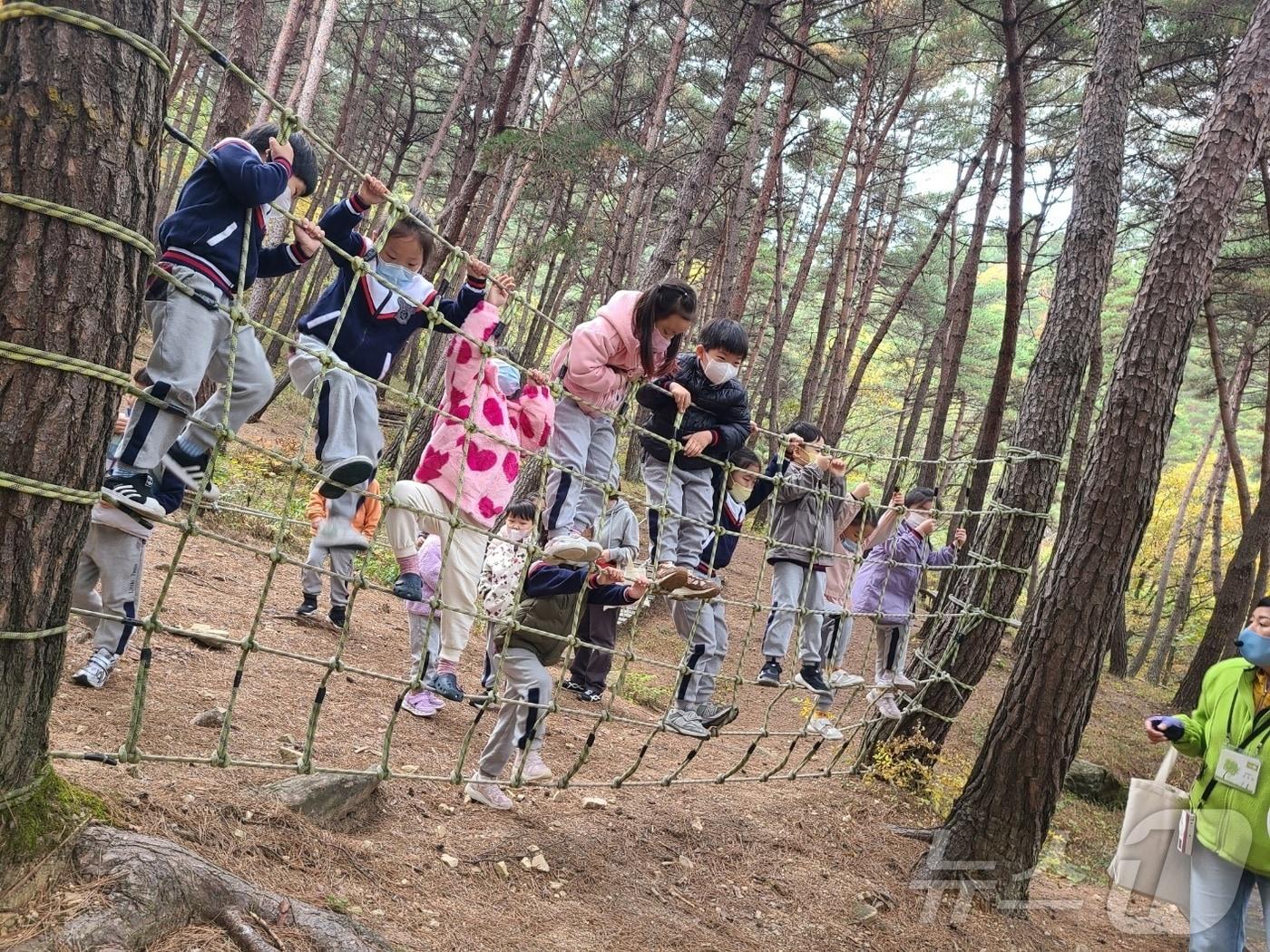 본문 이미지 - 유아숲체험원 프로그램 참여자들.(대구 달성군 제공.재판매 및 DB 금지)