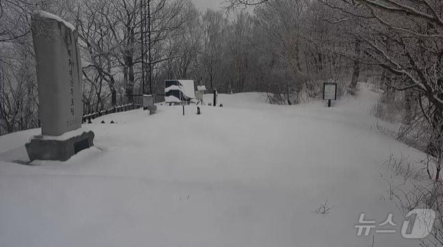 본문 이미지 -  강원 평창 오대산 두로령.(국립공원공단 CCTV 캡처, 재판매 및 DB금지)