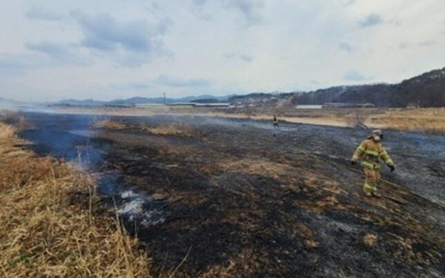 본문 이미지 - 세종시 장군면 대교천 화재. (세종시소방본부 제공. 재판매 및 DB금지)