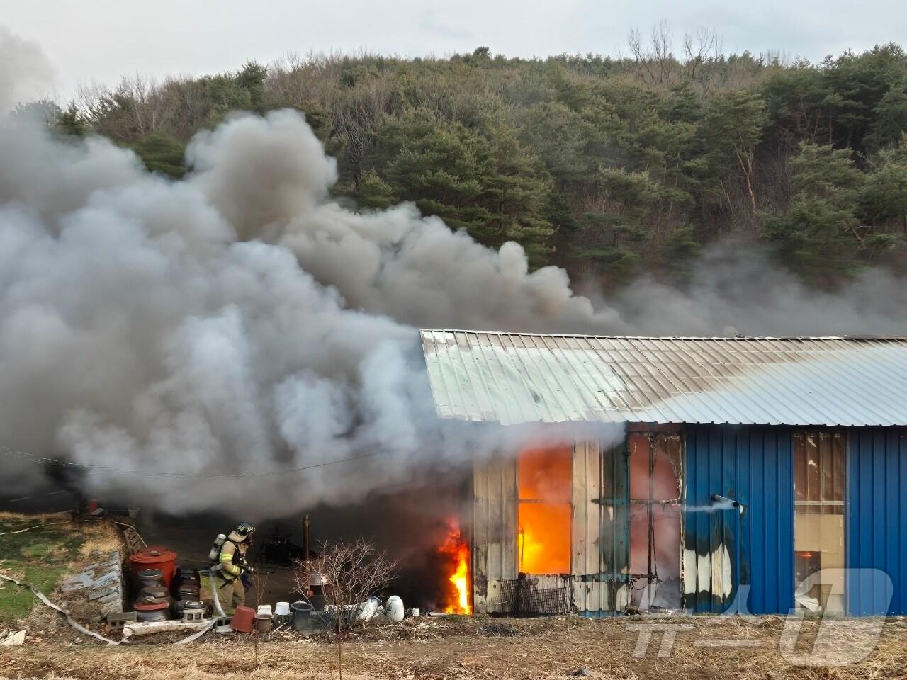 본문 이미지 - 16일 오후 5시 49분쯤 영천시 서산동 한 우사에서 전기적 요인으로 추정되는 불이나 소방 당국이 화재를 진압하고 있다.(경북소방본부 제공. 재판매 닟 DB 금지)2025.3.17/뉴스1