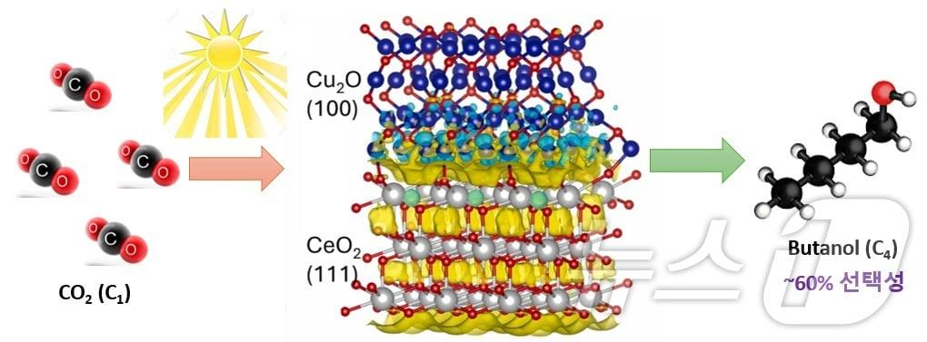 본문 이미지 -  이산화탄소 포집 고순도 부탄올 생산 기술 개념도. (한국연구재단 제공. 재판매 및 DB금지) /뉴스1