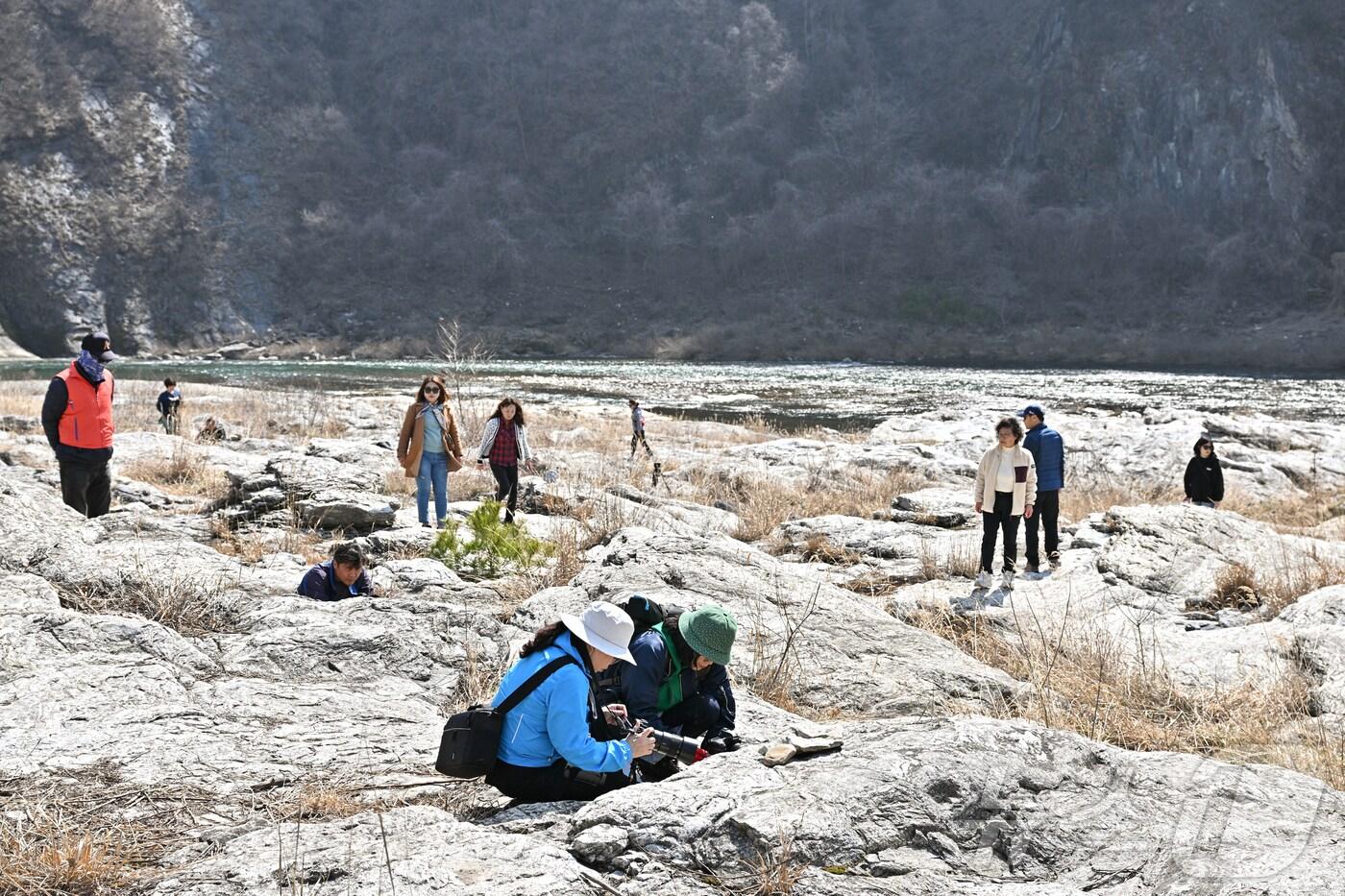 작년 제18회 강원 정선동강할미꽃 축제 자료 사진. (정선군 제공. 재판매 및 DB금지) 2025.3.17/뉴스1