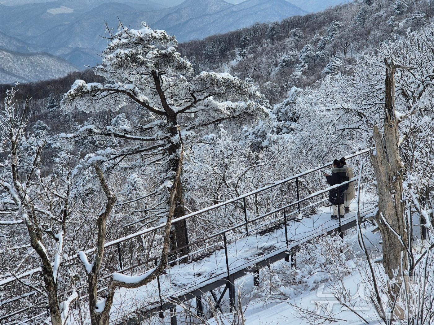본문 이미지 - 기사 이해를 돕기 위한 지난 겨울 강원 평창군 발왕산 관광 케이블카 정상부 자료 사진으로 기사 내용과 관련 없음. ⓒ News1