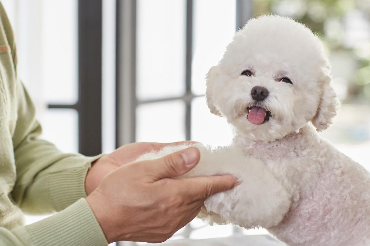 본문 이미지 - 사지 말단의 종양이라도 무조건 절단하지 않고 다양한 치료 옵션을 고려할 수 있다. 종양의 위치나 종류에 따라 절단 외에도 냉동 절제술, 방사선 치료, 항암 치료 등의 대안이 존재한다(사진 이미지투데이). ⓒ 뉴스1