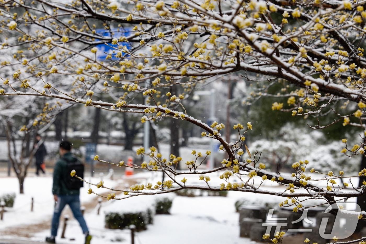 자료사진/뉴스1