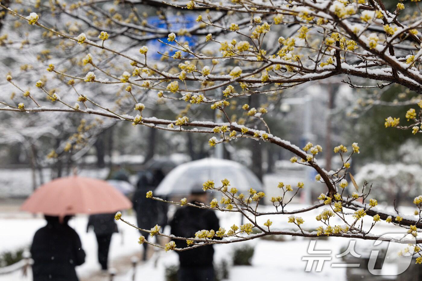 본문 이미지 - 눈 내린 거리.(뉴스1 DB)