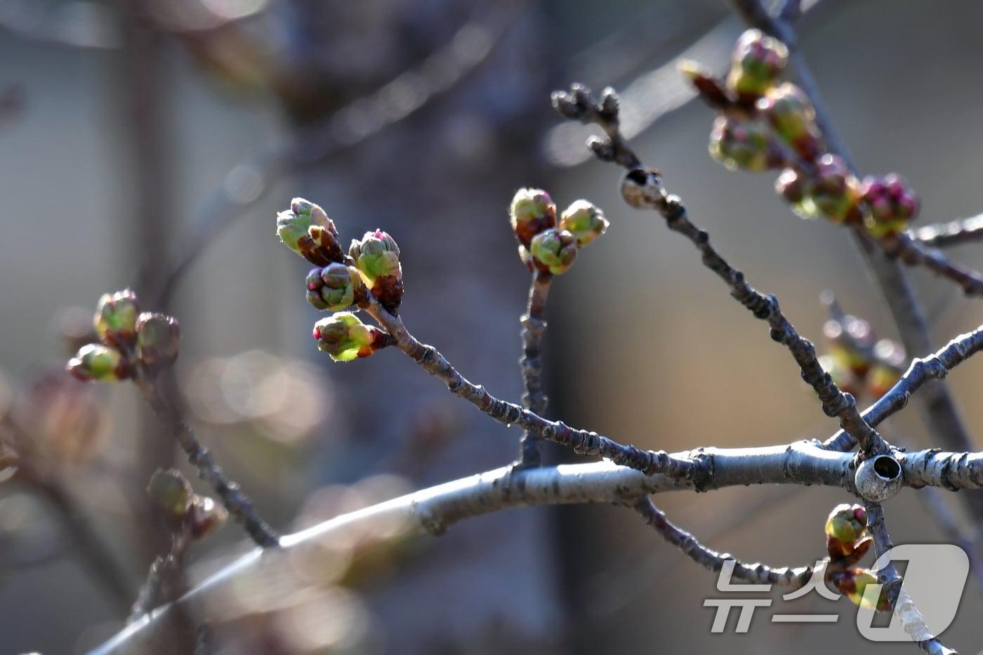 자료사진/뉴스1