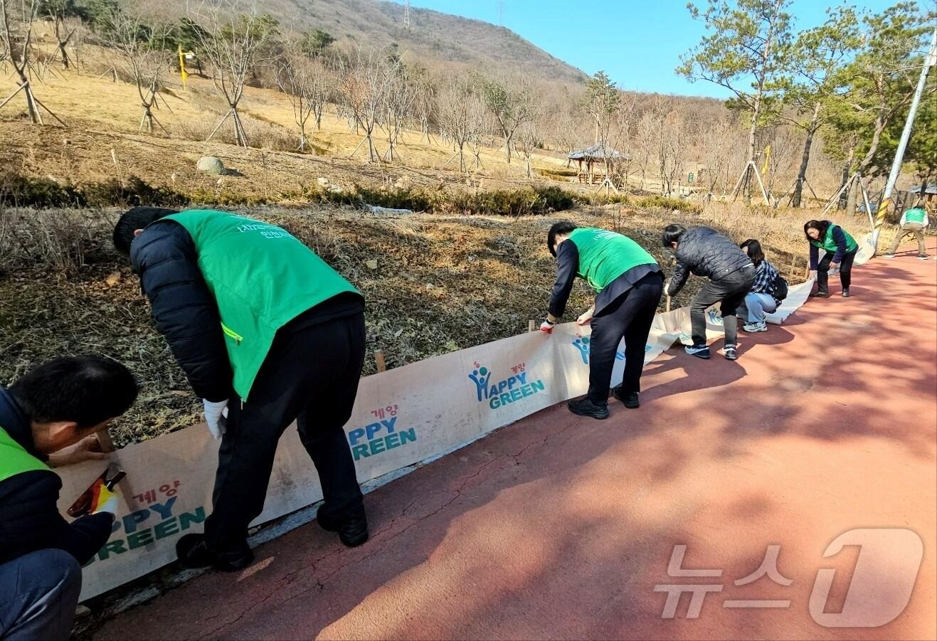 본문 이미지 - 두꺼비 이동 유도펜스(인천 계양구 제공.재판매 및 DB금지)