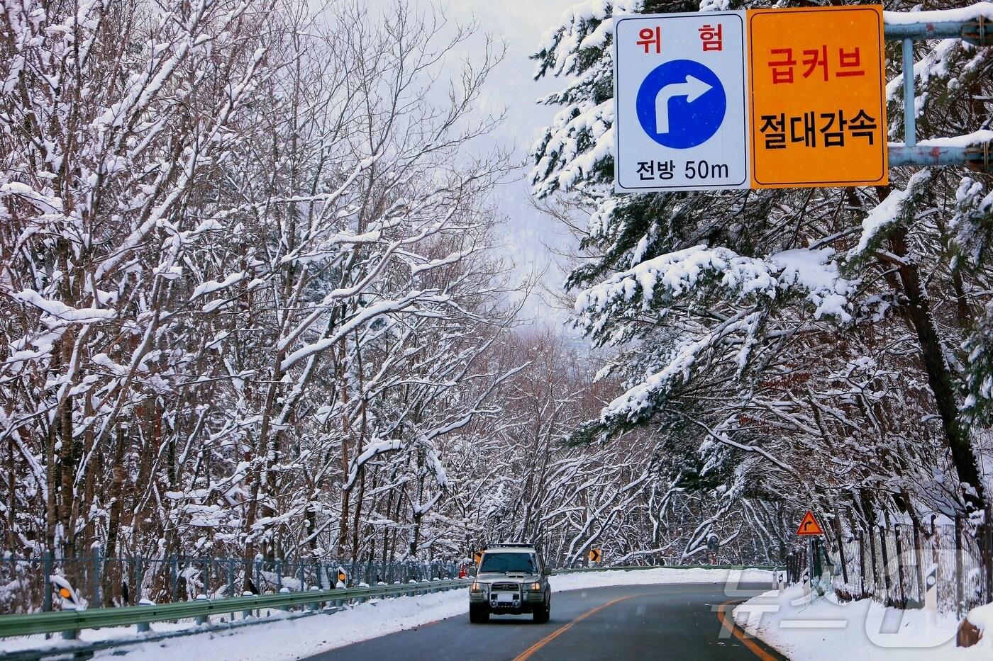 18일 강원 인제군 북면 한계령에 이틀 연속 내린 눈이 설경을 이루고 있다.(인제군 제공. 재판매 및 DB금지) 2025.3.18/뉴스1 ⓒ News1 이종재 기자
