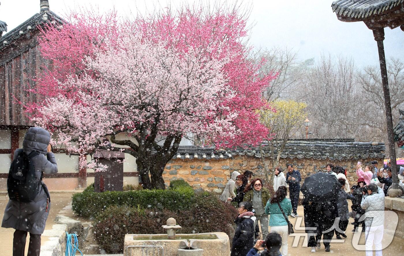 자료사진/뉴스1