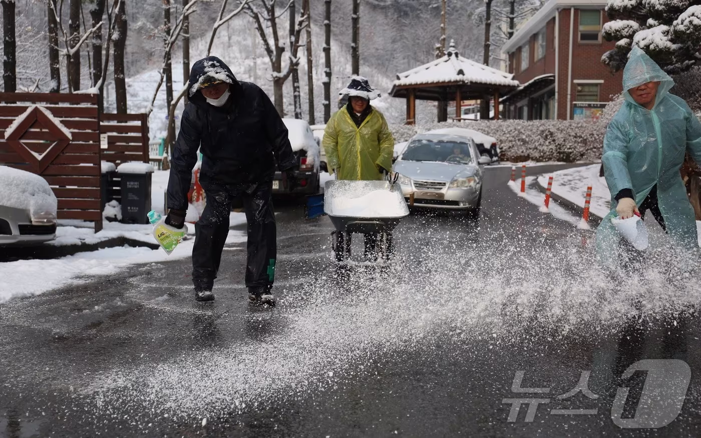 제천시 하소동 한 아파트에서 제설작업이 펼쳐지고 있다.ⓒ News1 손도언 기자