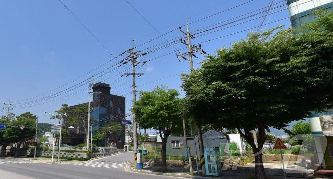 본문 이미지 - 제천시 대제중 앞 도로의 전선.(제천시 제공, 재판매 및 DB 금지)/뉴스1  