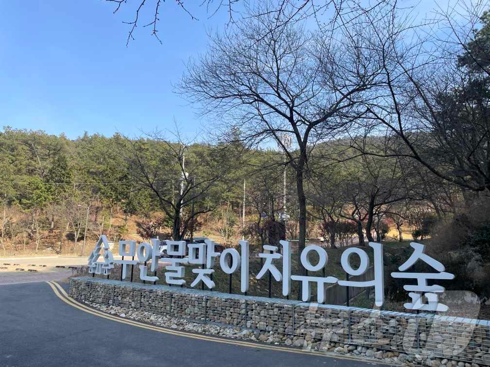 본문 이미지 - 무안 물맞이 치유의 숲 전경 (무안군 제공. 재판매 및 DB금지) /뉴스1 