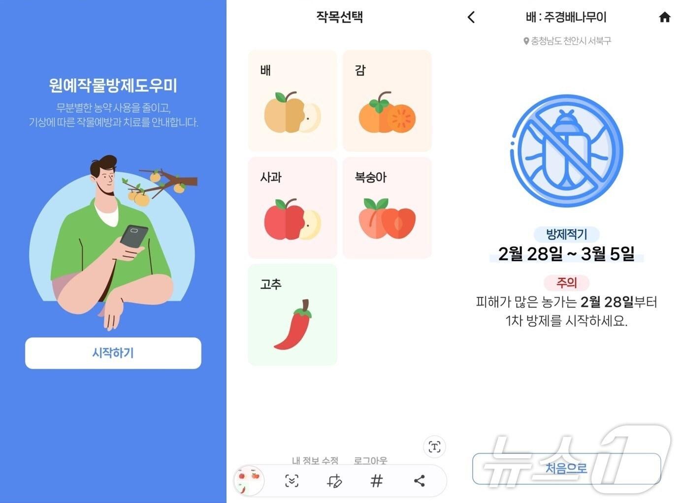 본문 이미지 - 원예작물 방제 도우미 앱 활용 예시. (충남농기원 제공. 재판매 및 DB금지)/뉴스1