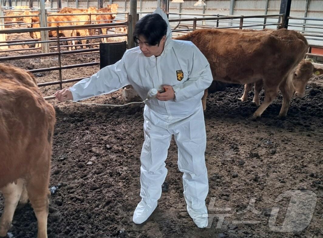 본문 이미지 - 19일 경북 경주시가 전남 영암 한우농가에서 발생한 구제역 차단을 위해 가축방역상황실 근무를 강화하고 있다고 밝혔다. (경주시제공, 재판매 및 DB 금지) 2025.3.19/뉴스1  