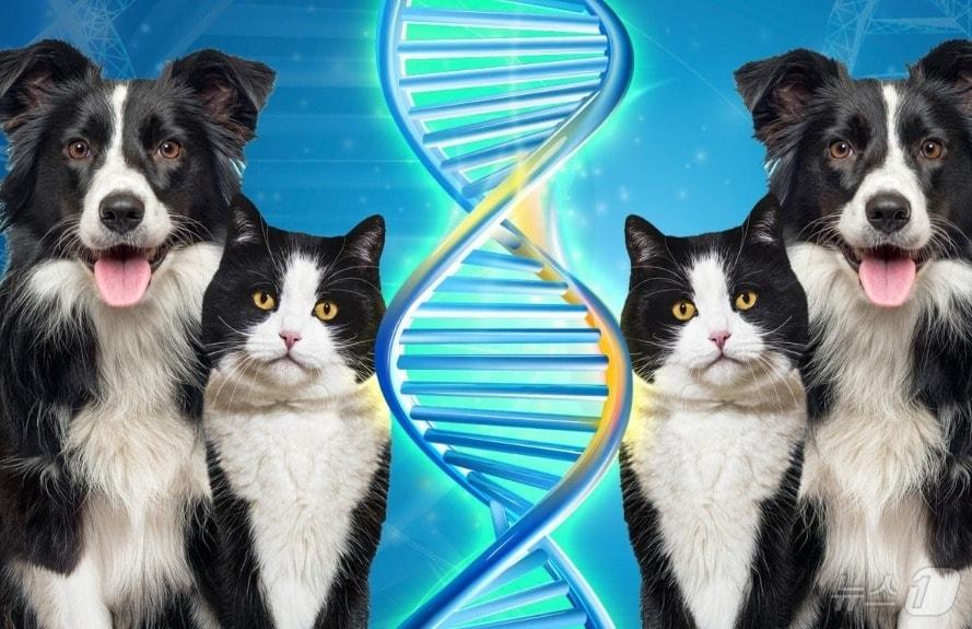 본문 이미지 - 관련 시각물 - SCMP 갈무리