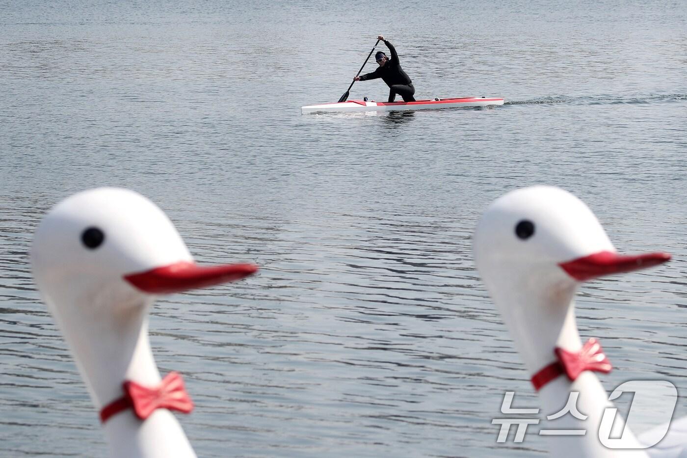 본문 이미지 - 유원지에서 카누 선수가 힘차게 노를 저으며 훈련하고 있다. (자료사진) ⓒ News1 공정식 기자