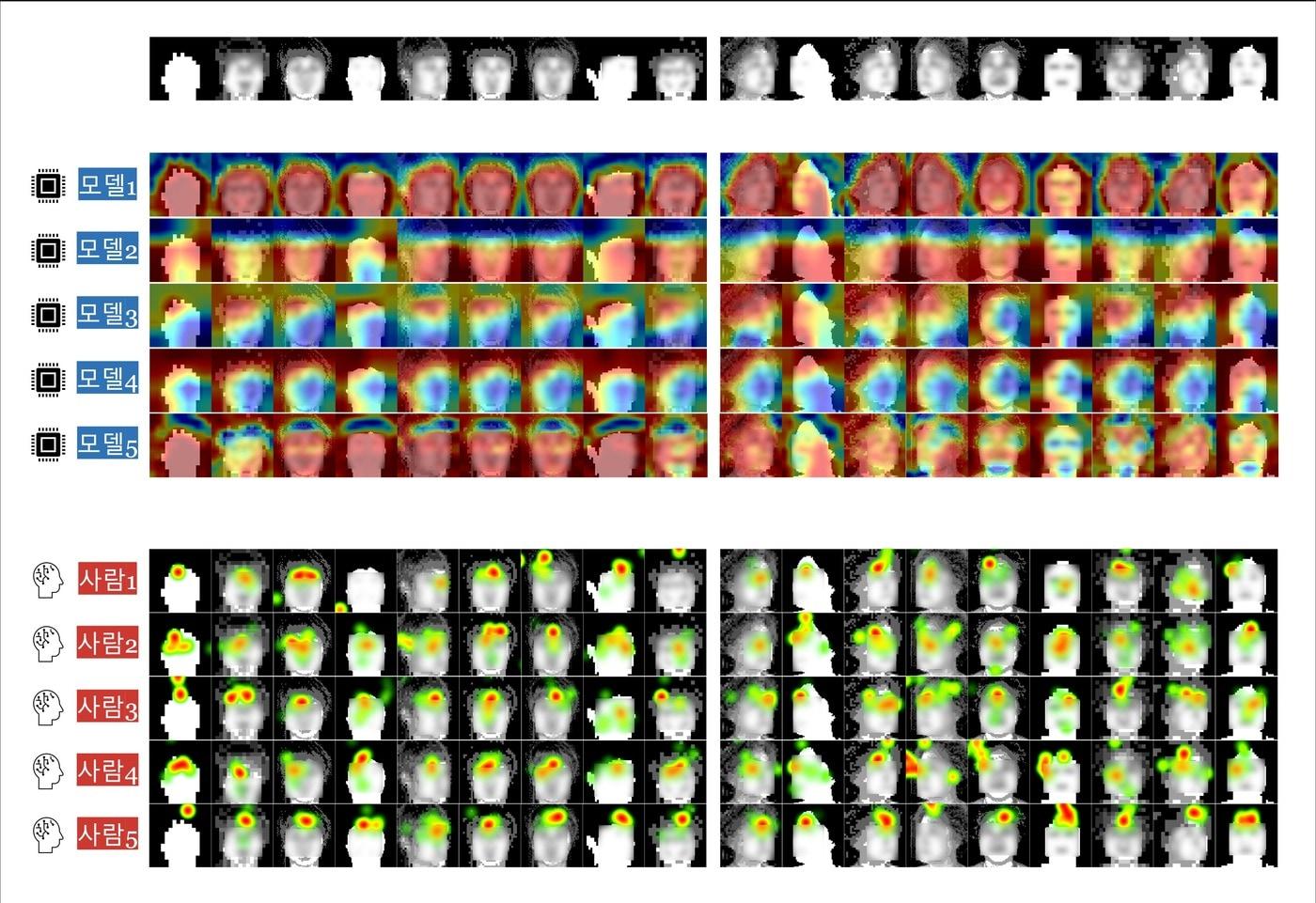한국과학기술연구원 뇌융합연구단 임매순 박사 연구팀이 개발한 인공 시각장치 시각 품질 예측 AI 모델. 인공 안구 등이 구현하는 저해상도 흑백 이미지에 최적화됐다.&#40;한국과학기술연구원 제공&#41;