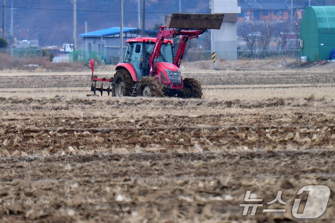 본문 이미지 - 경북에서 ‘농사를 짓지 않는 농지’가 김천, 상주 등 서부권에 가장 많은 것으로 나타났다./뉴스1