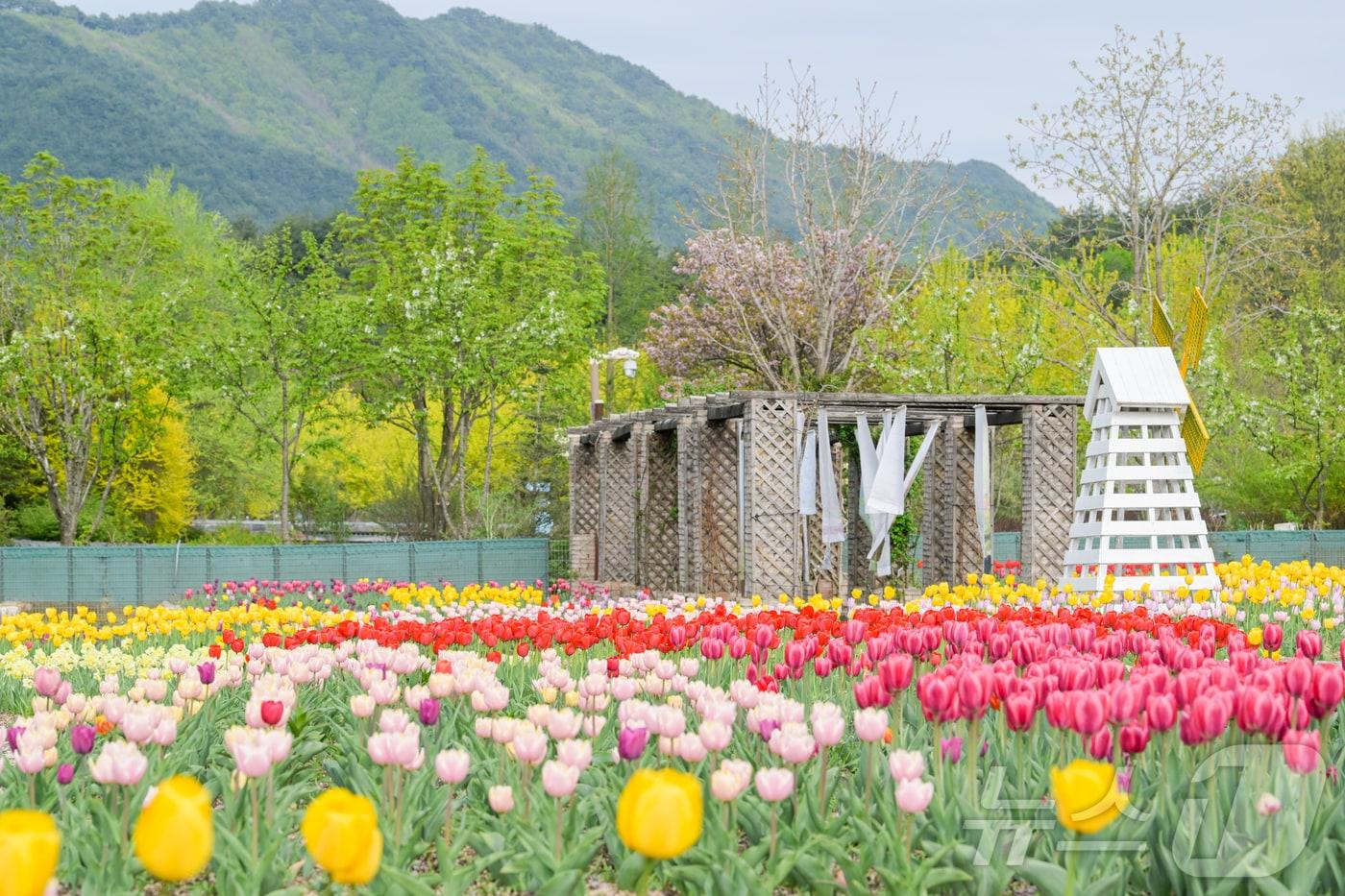 국립백두대간수목원 무지개정원(한국수목원정원관리원 제공.재판매 및 DB금지) /뉴스1