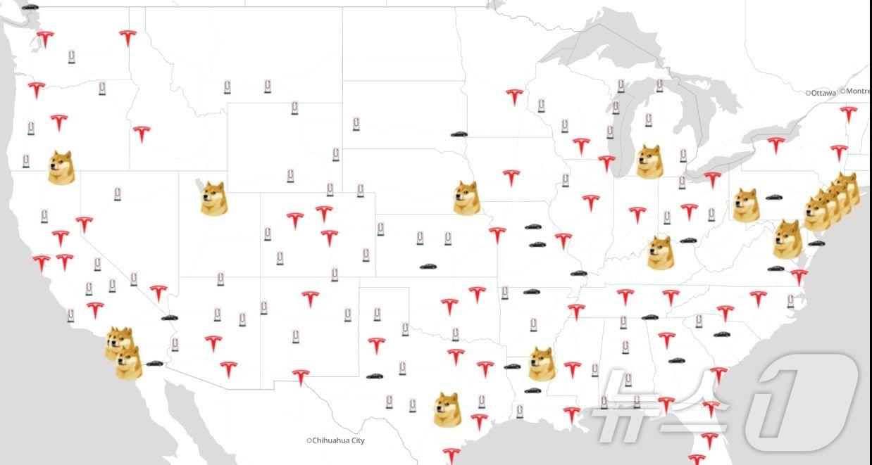 본문 이미지 - 도지퀘스트 사이트 갈무리