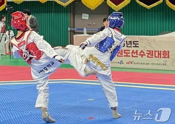 본문 이미지 - 전국 종별 태권도선수권대회 중등부 체급별 겨루기 경기 모습 (영천시 제공. 재판매 및 DB금지) 2025.3.20/뉴스1