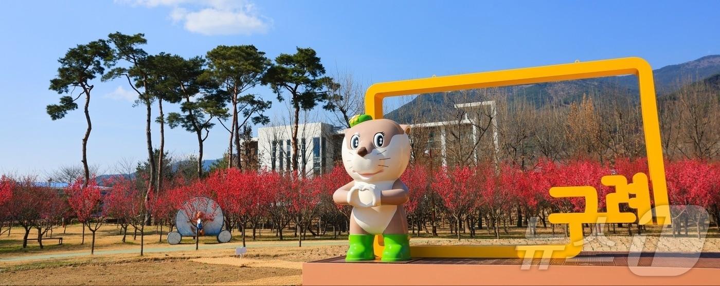 20일 전남 구례군 간전면 섬진강수달생태공원에 홍매화가 꽃망울을 터뜨리고 있다.(구례군 제공. 재판매 및 DB 금지)
