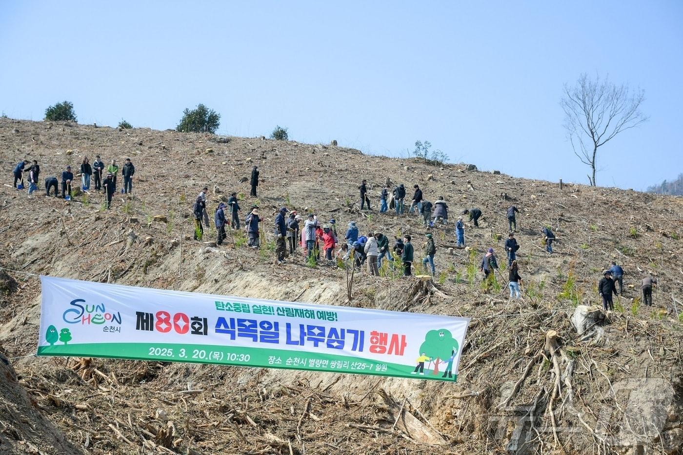 본문 이미지 - 올해 3월 전남 순천시 별량면 쌍림리 일원에서 진행된 소나무재선충병 피해 복구 나무 식재 작업. (순천시 제공. 재판매 및 DB 금지) 2025.3.20/뉴스1