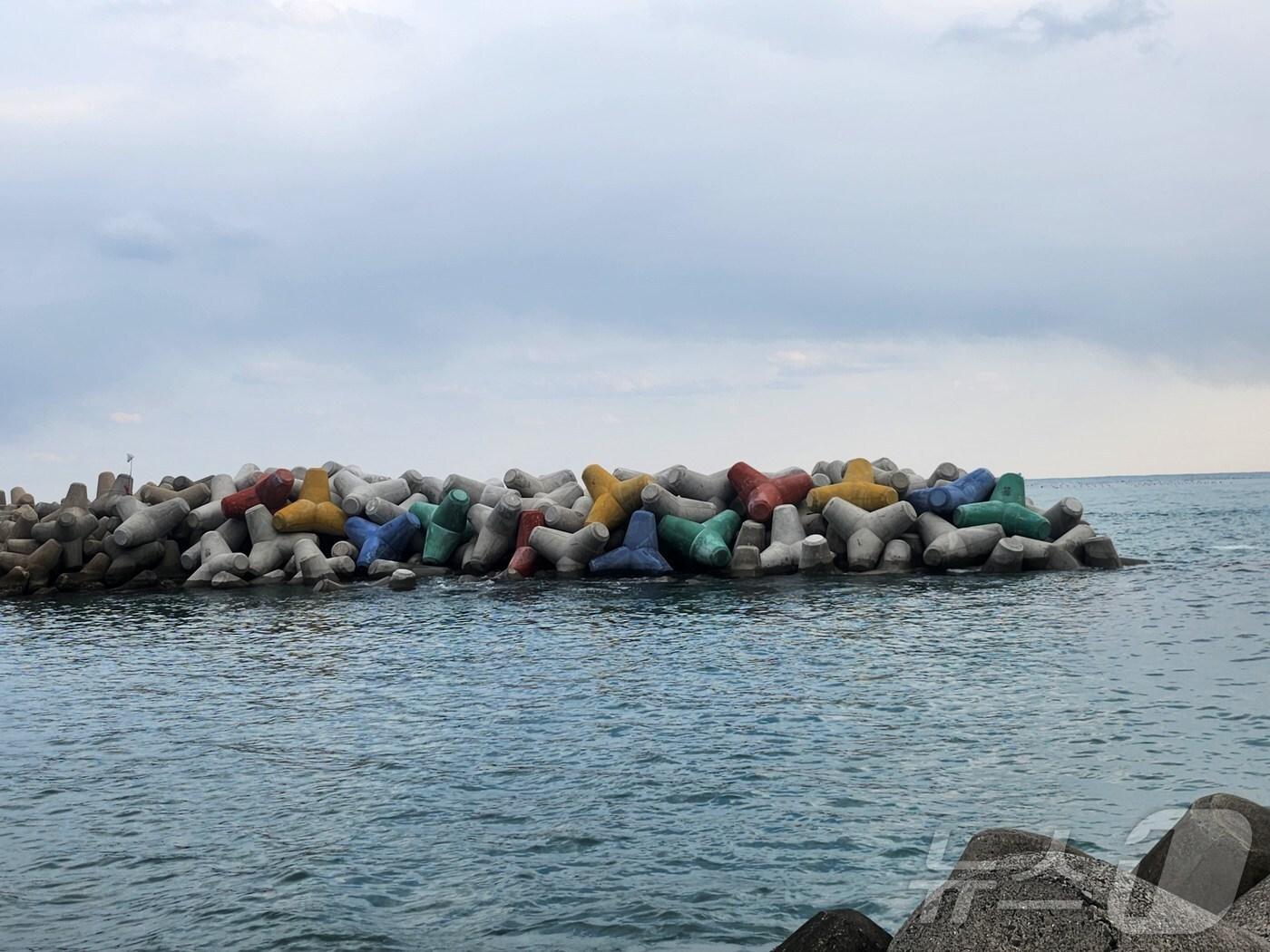 본문 이미지 - 울산 동구가 남·상진항 재해 예방 사업을 완료했다.(동구청 제공·재판매 및 DB 금지) /뉴스1)