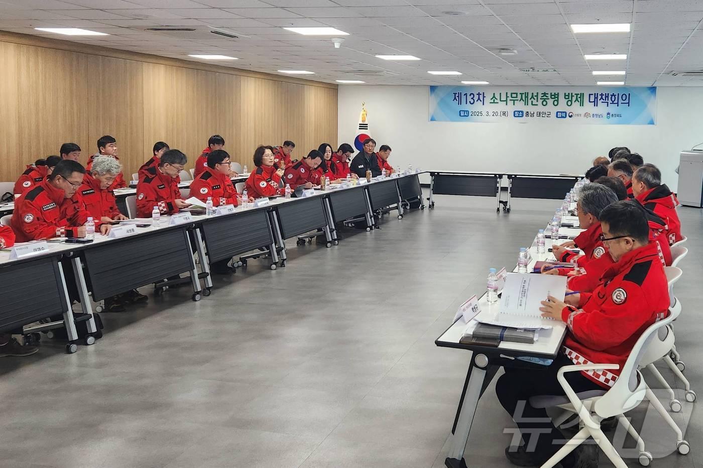 본문 이미지 - 제13차 소나무재선충병 방제 대책회의 모습. (산림청 제공.재판매 및 DB금지)/뉴스1