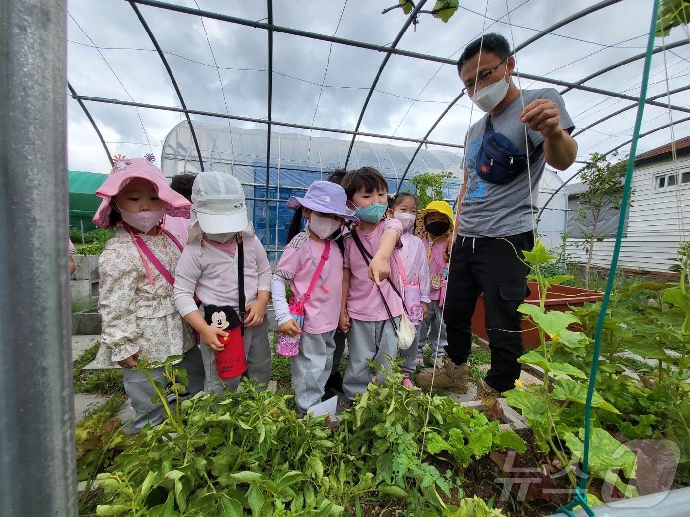 본문 이미지 - 울산 북구가 친환경급식에 공급되는 식재료 이해도를 높이기 위해 유치원생과 초등학생을 대상으로 친환경 식생활교육을 추진한다고 21일 밝혔다.(울산 북구 제공. 재판매 및 DB 금지) /뉴스1