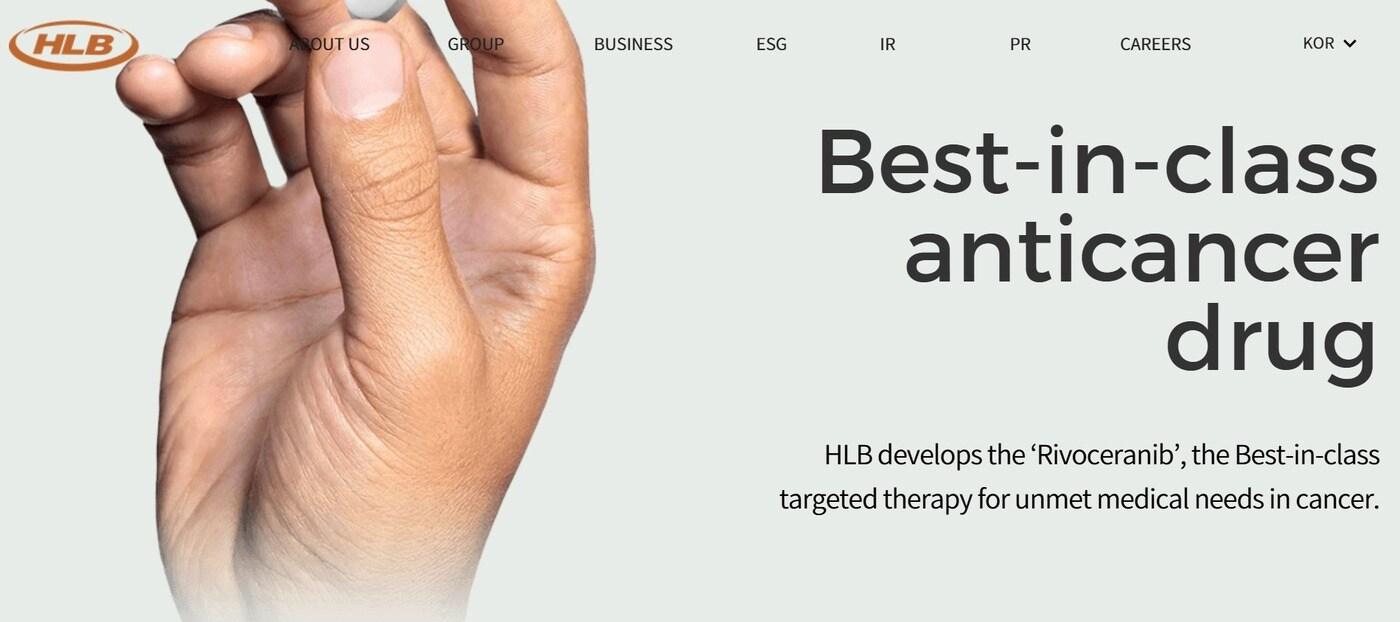 본문 이미지 - HLB 홈페이지 갈무리.