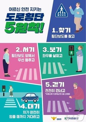 본문 이미지 - 어르신 안전 지키는 도로횡단 5원칙 포스터.(한국도로교통공단 제공. 재판매 및 DB금지)/뉴스1