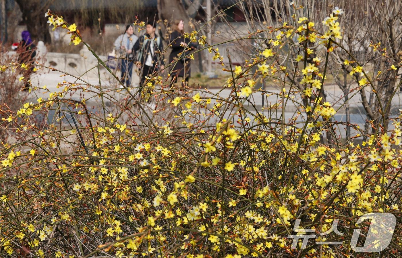 자료사진/뉴스1