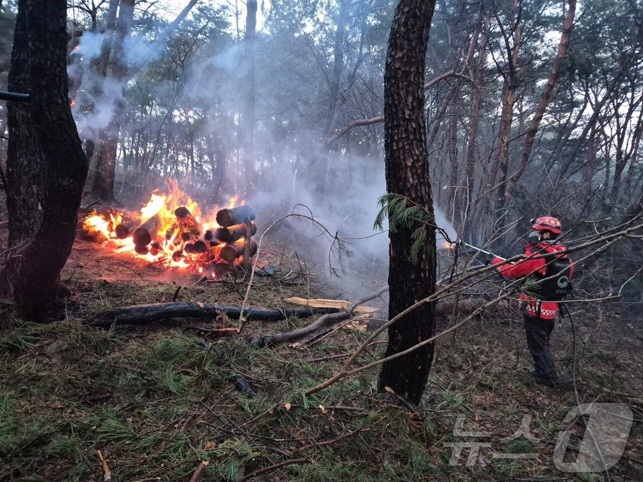 본문 이미지 - 경남 사천 산불재난특수진화대 진화 모습.(산림청 제공.재판매 및 DB금지)/뉴스1