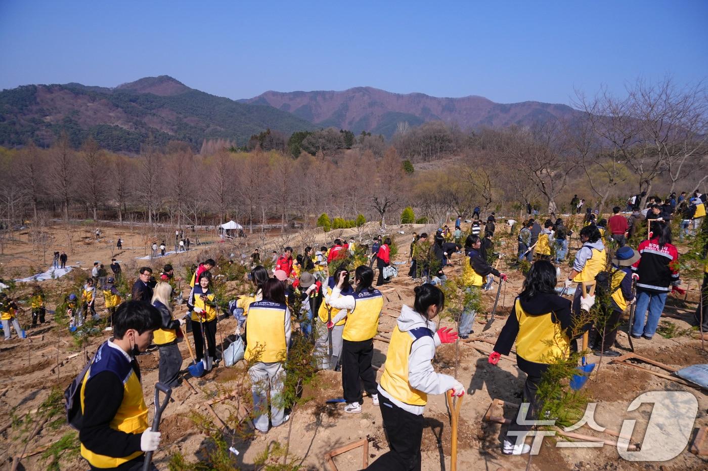 본문 이미지 - 기사 이해를 돕기 위한 식목 행사 자료 사진으로, 기사 내용과 관련 없음. .(재판매 및 DB 금지) /뉴스1