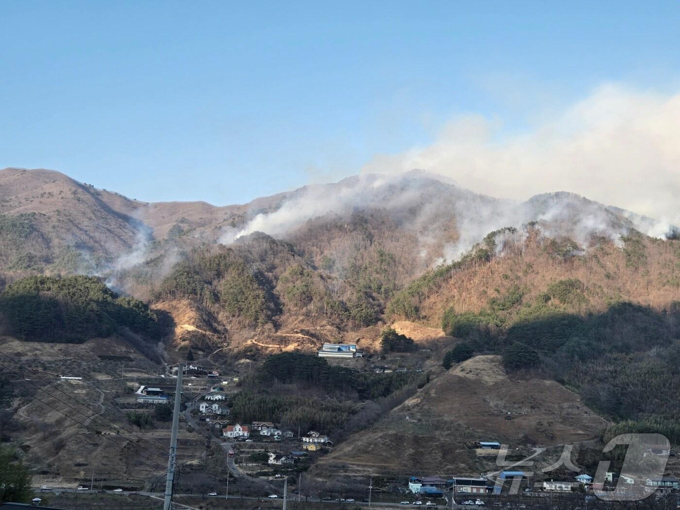 본문 이미지 - 산불 현장(경남소방본부 제공. 재판매 및 DB금지). 2025.3.1