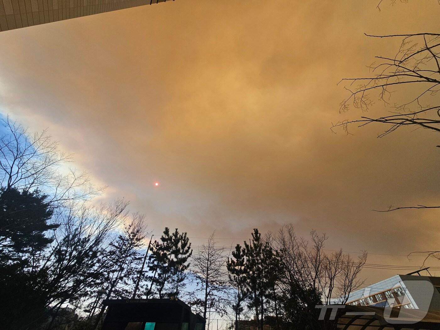 본문 이미지 - 산청 방향에서 넘어온 산불 화재 연기가 진주시 평거동 상공을 뒤덮고 있다. 2025.3.22/뉴스1 한송학기자