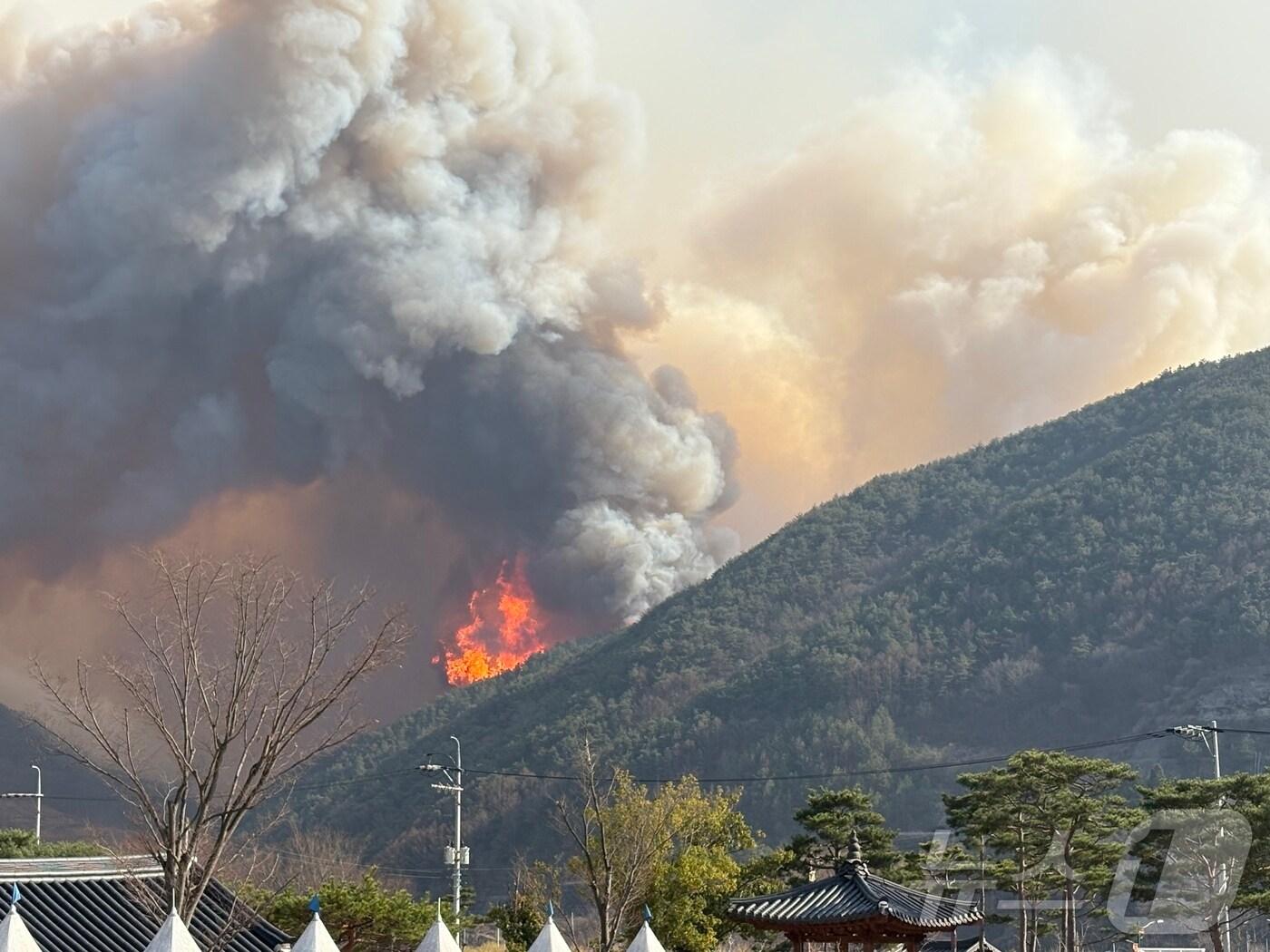 본문 이미지 - 산청군 신천리 일원에서 발생한 산불이 22일 오후부터 확산하고 있다. 2025.03.22/뉴스1 강미영기자